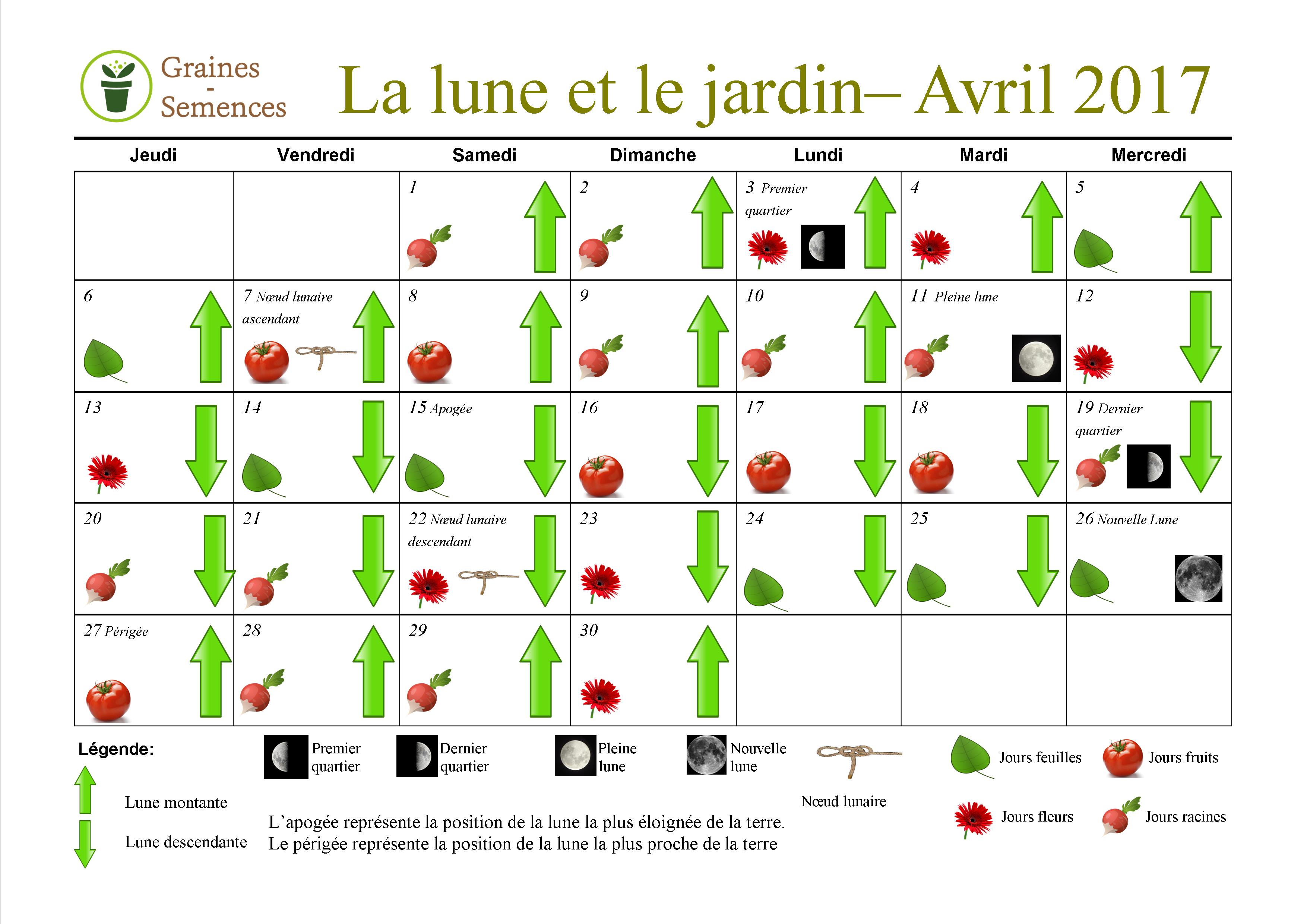 Semer graines et semences de légumes et fleurs avec la Lune en Belgique et en France